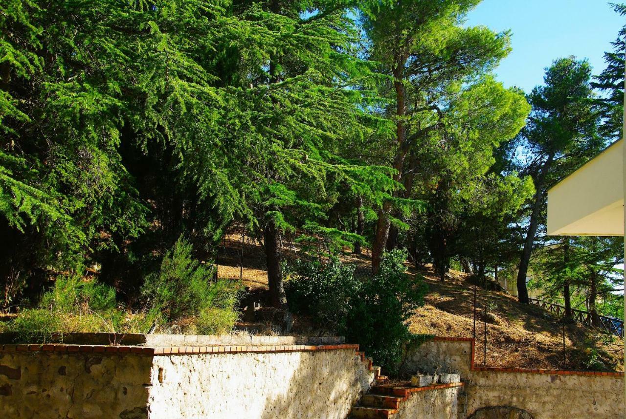 La Casa Di Boz B&B Nuoro  Extérieur photo